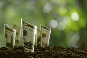 Sustainability With Odoo-Intuitflow: Enhancing Business Success